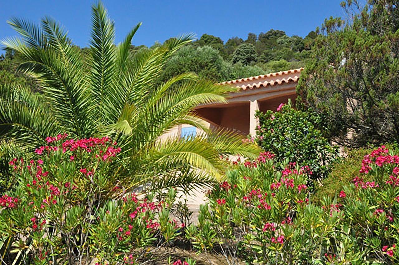 Residence U Latonu - Palombaggia 维琪奥港 外观 照片